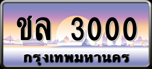 ทะเบียนรถ ชล 3000 ผลรวม 0